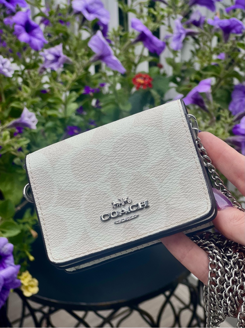 Coach Signature Chain Crossbody Wallet Bag